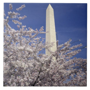 USA, Washington DC. Cherry Blossom Festival and Tile
