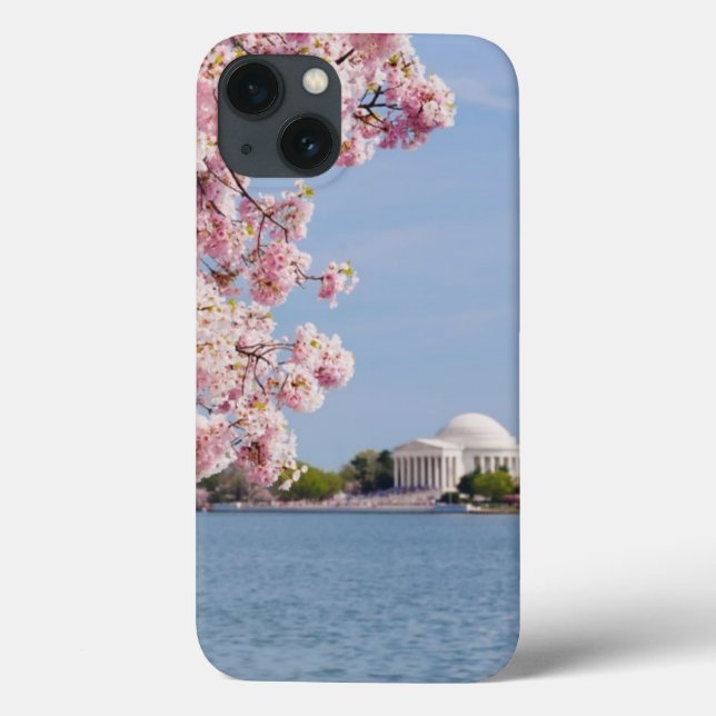 USA, Washington DC, Cherry tree Case-Mate iPhone Case (Back)