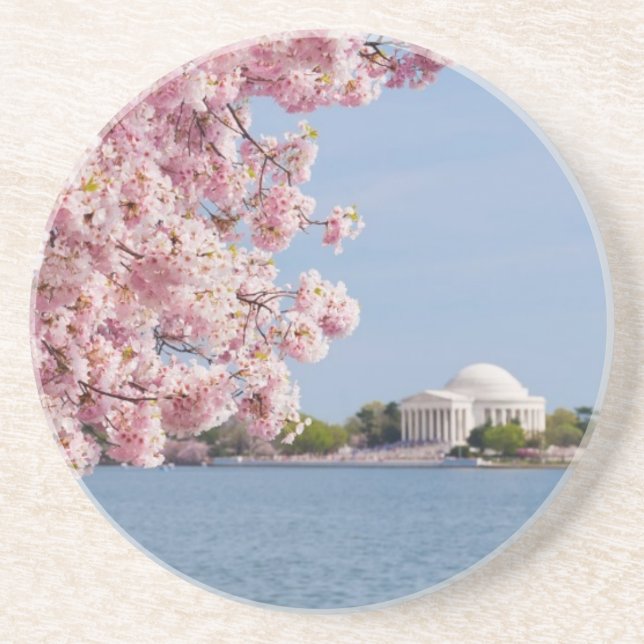 USA, Washington DC, Cherry tree Coaster (Front)