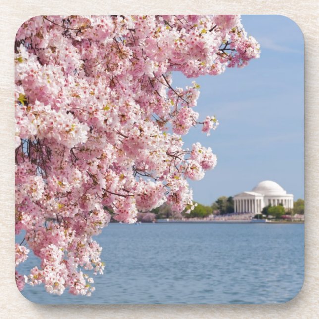 USA, Washington DC, Cherry tree Coaster (Front)