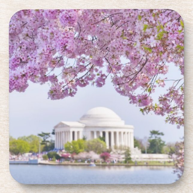 USA, Washington DC, Cherry tree in bloom Coaster (Front)