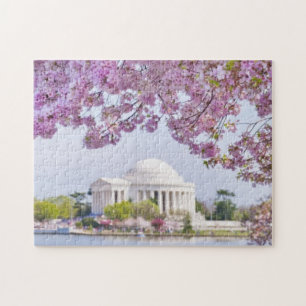 USA, Washington DC, Cherry tree in bloom Jigsaw Puzzle