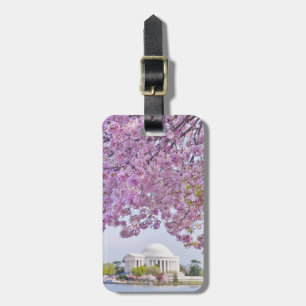 USA, Washington DC, Cherry tree in bloom Luggage Tag