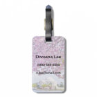 USA, Washington DC, Cherry tree in bloom