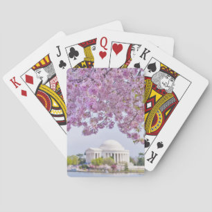 USA, Washington DC, Cherry tree in bloom Playing Cards