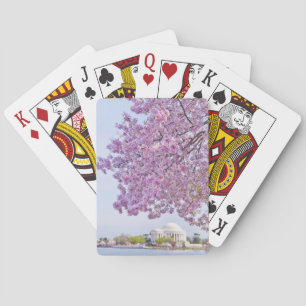 USA, Washington DC, Cherry tree in bloom Playing Cards