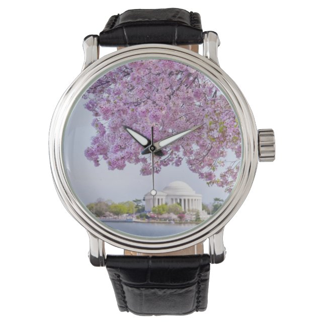 USA, Washington DC, Cherry tree in bloom Watch (Front)