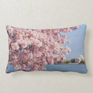 USA, Washington DC, Cherry tree Lumbar Cushion