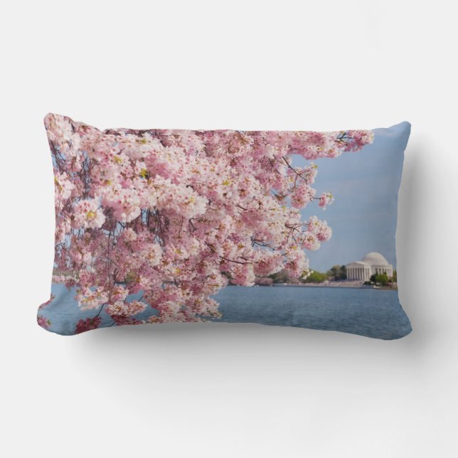 USA, Washington DC, Cherry tree Lumbar Cushion (Front)