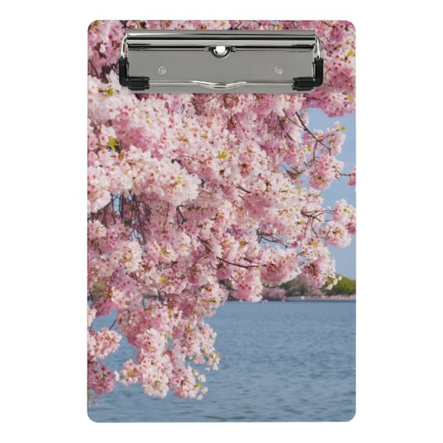USA, Washington DC, Cherry tree Mini Clipboard (Front)
