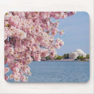 USA, Washington DC, Cherry tree Mouse Pad