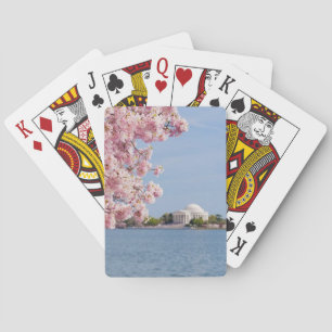 USA, Washington DC, Cherry tree Playing Cards