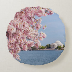 USA, Washington DC, Cherry tree Round Cushion