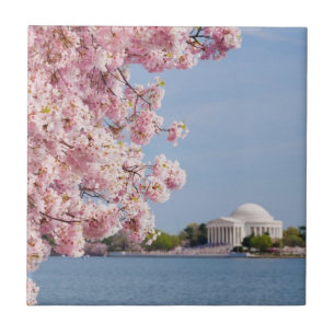 USA, Washington DC, Cherry tree Tile