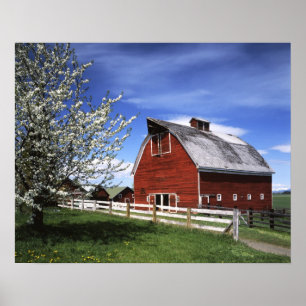 USA, Washington, Ellensburg, Barn Poster