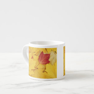 USA, Washington, Finch Arboretum, Red and Espresso Cup