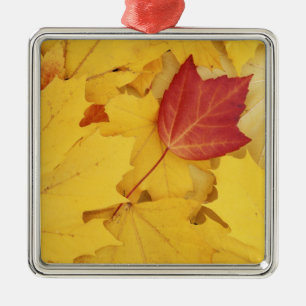 USA, Washington, Finch Arboretum, Red and Metal Ornament