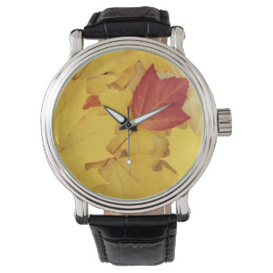 USA, Washington, Finch Arboretum, Red and Watch