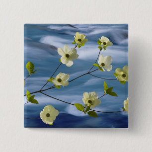 USA, Washington, Hood Canal. Pacific dogwood 15 Cm Square Badge