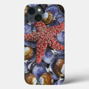 USA, Washington, Hood Canal, Seabeck. Close-up iPhone 13 Case