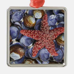 USA, Washington, Hood Canal, Seabeck. Close-up Metal Tree Decoration