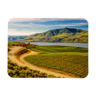 USA, Washington, Lake Chelan. Benson Vineyards Magnet