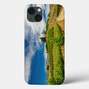 USA, Washington, Lake Chelan. Vineyard 3 iPhone 13 Case