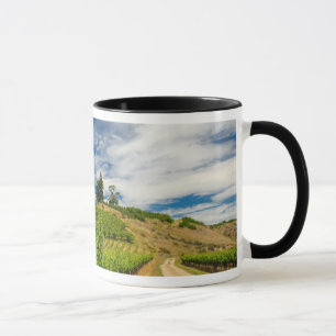USA, Washington, Lake Chelan. Vineyard 3 Mug