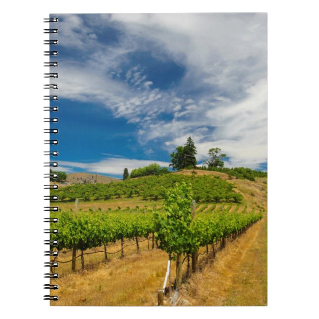 USA, Washington, Lake Chelan. Vineyard 3 Notebook (Front)