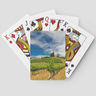 USA, Washington, Lake Chelan. Vineyard 3 Playing Cards