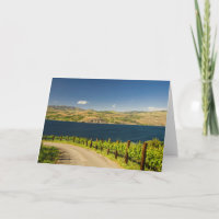 USA, Washington, Lake Chelan. Vineyard