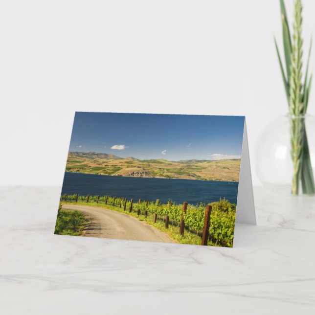 USA, Washington, Lake Chelan. Vineyard Holiday Card (Front)