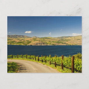 USA, Washington, Lake Chelan. Vineyard Postcard