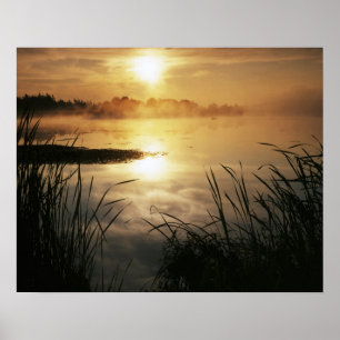 USA, Washington, Lopez Island, Morning fog on Poster