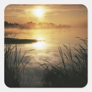 USA, Washington, Lopez Island, Morning fog on Square Sticker