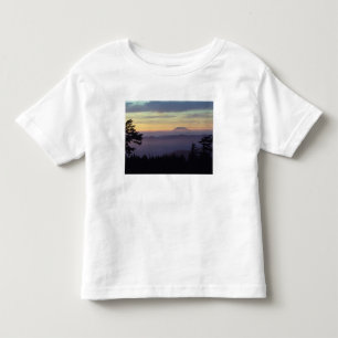 USA, Washington. Mount St. Helens seen through Toddler T-Shirt
