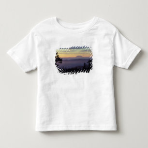 USA, Washington. Mount St. Helens seen through Toddler T-Shirt