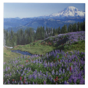 USA, Washington Mt. Adams Wilderness, Meadows Ceramic Tile