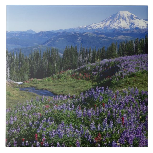USA, Washington Mt. Adams Wilderness, Meadows Ceramic Tile (Front)