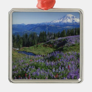 USA, Washington Mt. Adams Wilderness, Meadows Metal Ornament