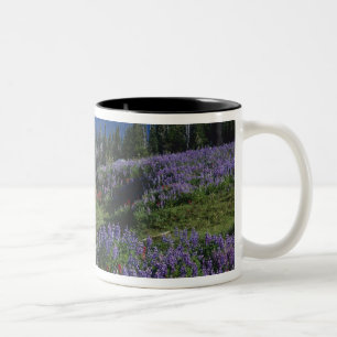 USA, Washington Mt. Adams Wilderness, Meadows Two-Tone Coffee Mug