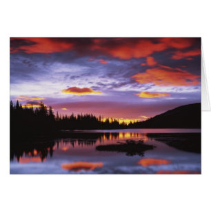 USA, Washington, Mt. Rainier National Park,