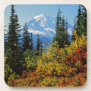 USA, Washington, Mt. Rainier National Park 2 Coaster