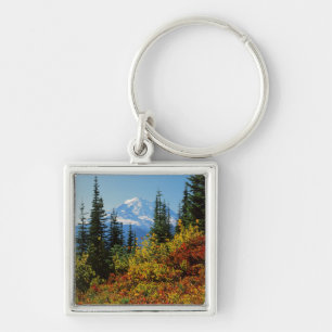 USA, Washington, Mt. Rainier National Park 2 Key Ring
