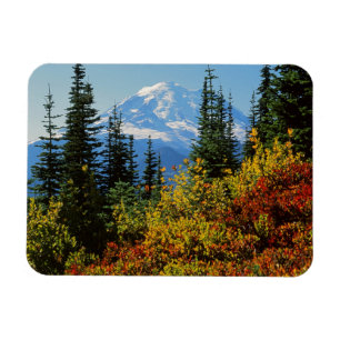 USA, Washington, Mt. Rainier National Park 2 Magnet