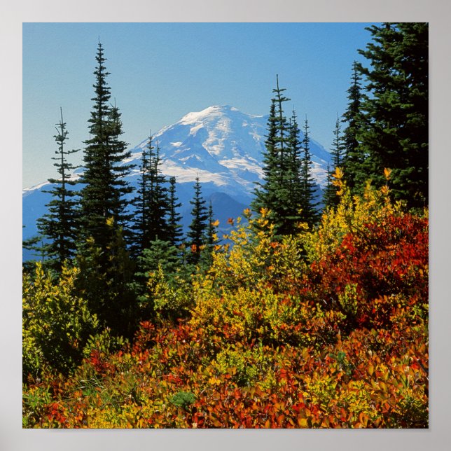 USA, Washington, Mt. Rainier National Park 2 Poster (Front)