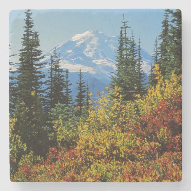USA, Washington, Mt. Rainier National Park 2 Stone Coaster (Front)