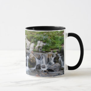 USA, Washington, Mt. Rainier National Park 3 Mug