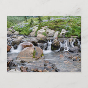 USA, Washington, Mt. Rainier National Park 3 Postcard