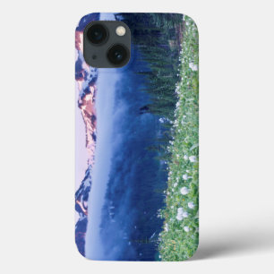 USA, Washington, Mt. Rainier National Park 4 iPhone 13 Case